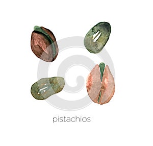 Set of watercolor pistachios hand painted isolated