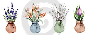 Set of watercolor plants. Spring flowers in a pot. Lavender, lily, tulip. Suitable for stickers, postcards, etc