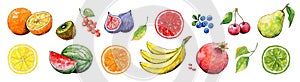 Set of Watercolor ripe fruits, berries. Bright summer orange, watermelon, bananas, cherry, blueberries, pear, kiwi, garnet, leaves