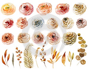 Set of watercolor roses, leaves and branches