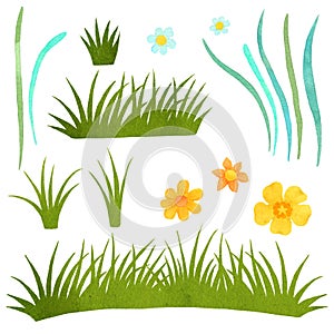 Set of watercolor spring grass and flowers. Clipart on white background