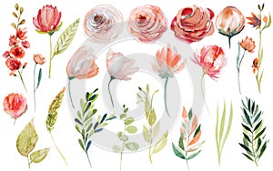 Set of watercolor spring plants: pink and red roses, wildflowers and green branches
