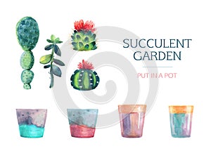 Set of watercolor succulent and a flower pot.