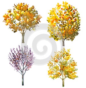 Set of watercolor trees isolated on white for autumn, fall design