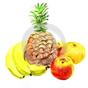 Set of watercolor tropical fruits. Pineapple, bananas, apples, tangerines