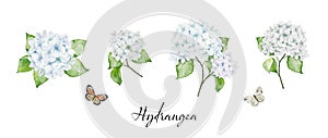 Set of watercolor white hydrangea flowers bouquets and butterflies