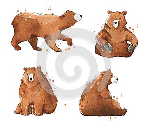 Set of watercolour bears,  hand painted illustration