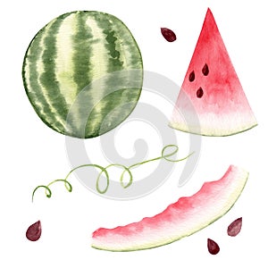 Set of watermelon clipart. Fresh summer watercolor illustration.