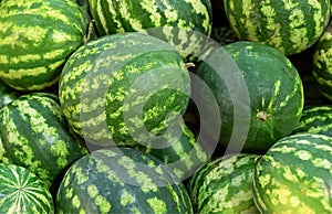 Set of watermelon pile of autumnal backgrounds delicious