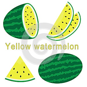 Set of watermelon with sign, flat style