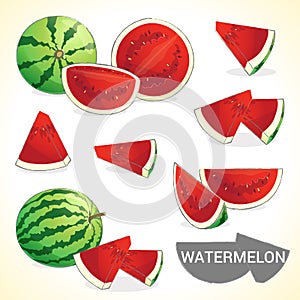 Set of watermelon in various styles vector format