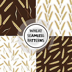 Set of wheat seamless patterns. Vector illustration of ears of wheats.