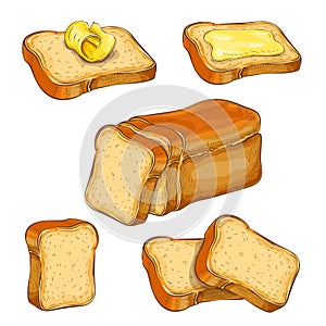 Set of wheat sliced bread and toasts illustration isolated on white. white square loaf with various bread slices icon