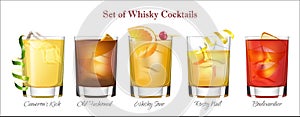 Set Of Whisky Cocktails in vrector