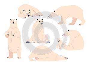 Set White Bear, Wild Polar Arctic Animal Predator in Different Postures. Mother with Cub, North Pole Cartoon Creature