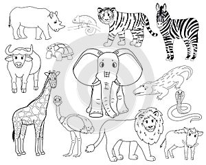 Set of white cartoon isolated outline Savannah animals. Tiger, lion, rhinoceros, common warthog, African buffalo, tortoise,