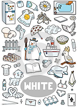 Set of white color objects. Visual dictionary for children about the basic colors