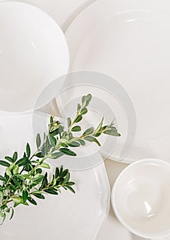 Set of white dishes plates cup decorated eucalyptus