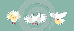 A set of white doves is a symbol of peace and family well-being