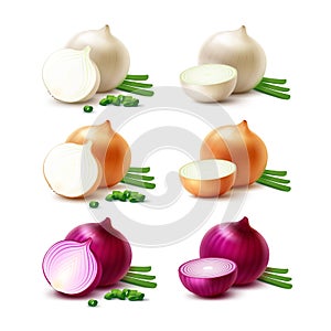 Set of White Yellow Red Onion Bulbs Isolated photo