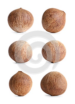 Set of whole brown coconuts isolated