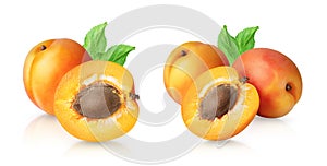 Set of whole and half of apricot fruits on white background