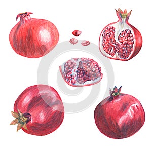 Set of whole, half, broken pomegranate. Grains of garnet fruit. Made in the technique of colored pencils. Hand drawn