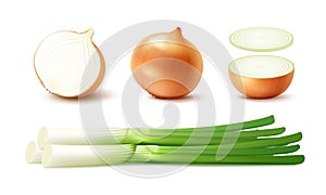 Set of Whole and Sliced Onion Bulbs with Green Onions