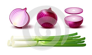 Set Whole and Sliced Red Onion Bulbs with Green Onions