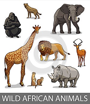 Set of wild african animals in cartoon style. Educational zoology illustration, coloring book picture