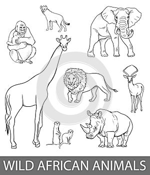 Set of wild african animals illustrations in lines. Educational zoology illustration, coloring book picture