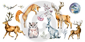 Set of wild animals and forest plants watercolor illustration isolated on white.