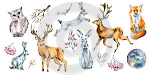 Set of wild animals and forest plants watercolor illustration isolated on white.