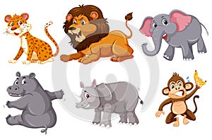 A set of wild animals on white background