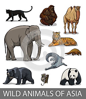 Set of wild asian animals in cartoon style. Educational zoology illustration, coloring book picture