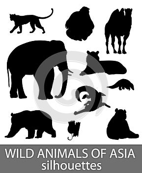 Set of wild asian animals silhouettes. Educational zoology illustration, activity book picture