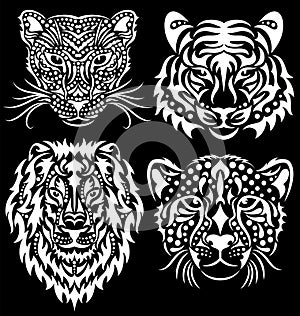 Set of wild big cats isolated on black.