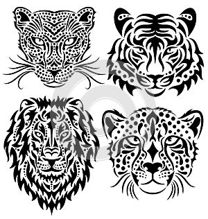 Set of wild big cats isolated on white.
