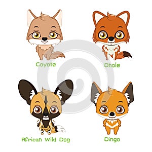 Set of wild canine species