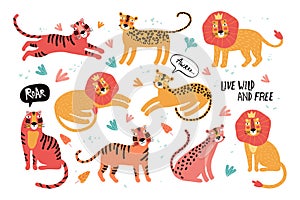 Set of wild cats, leopard, lion, tiger. Animals Taiwan. Flat vector illustration. Wild exotic animals. Cute animal