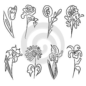 A set of wild flowers in one line. On white background.  Vector illustrations. Hand-drawn with a pen