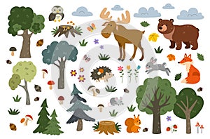 Set of Wild forest animals