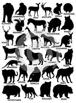 Set of wild or forest animals silhouettes. vector illustration. photo