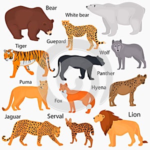 Set of wild predators with their names color flat icons photo