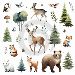 Set of Wild watercolor forest animals. Sticker with woodland wild animals, green trees, berries and plants. Bear, fox