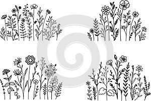 A set of wildflower meadows for printing, design, engraving and so on. Illustration Vector