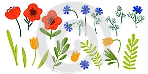 A set of wildflowers. Vector illustration with flowers, tulips, poppies, cornflowers, leaves and plants