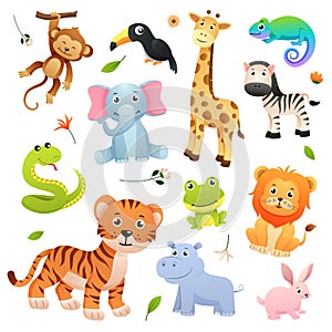 Set of wildlife animals cartoon character with decorative natural elements . Vector