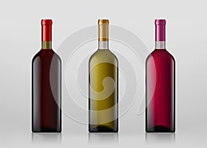 Set of wine bottles. Isolated on gray background