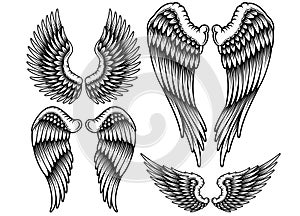 Set of Wings